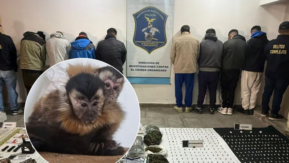El accionar formó parte de un megaoperativo con más de 30 allanamientos en simultáneo (Foto: Policía Federal de Buenos Aires)