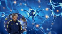Imagen de Qué es y cómo detectar ELA: la enfermedad neurodegenerativa que afectó a Fernando Gayoso y miles de personas
