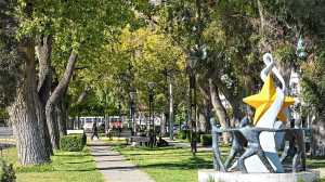 116 años de Allen: ciudad elegida y con potencial para crecer 