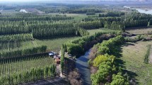 Imagen de El agua del norte de la Patagonia en disputa: quién decide su destino en la cuenca 