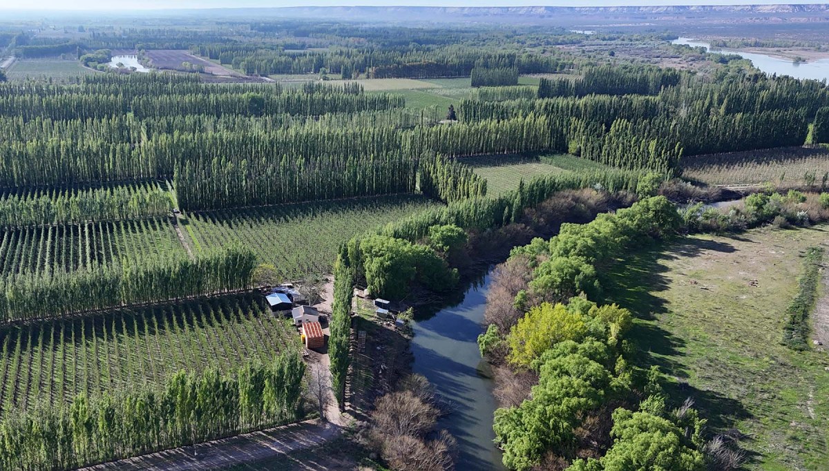 Expansión de áreas bajo riego en los valles del norte de la Patagonia: mayor productividad y mayor demanda sostenida de agua.