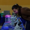 Imagen de Entre fósiles, escalada y microscopios: la universidad abrió sus puertas a la comunidad en Bariloche