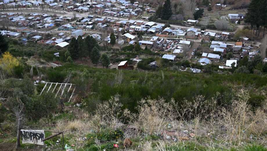 El hallazgo se produjo en el barrio Arrayanes en Bariloche. (Foto: Alfredo Leiva)