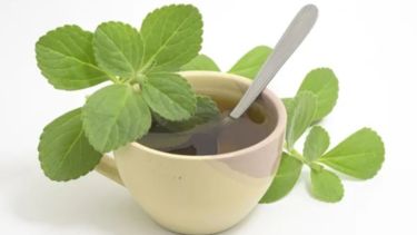 Boldo patagónico: cómo esta planta medicinal mejora tu salud hepática y digestiva