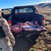 Imagen de Multados por "faena clandestina": viajaban hacia Bariloche y llevaban carne sin habilitación en la caja de la pick up