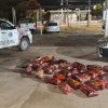 Imagen de Llevaba casi 400 kilos de carne de caballo y fue detenido en el control entre Río Negro y La Pampa