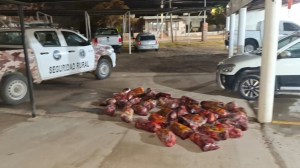 Llevaba casi 400 kilos de carne de caballo: fue detenido en el control entre Río Negro y La Pampa