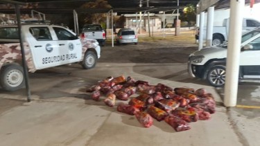 Llevaba casi 400 kilos de carne de caballo: fue detenido en el control entre Río Negro y La Pampa