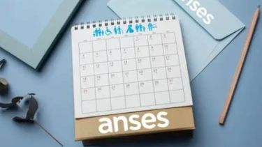 Jubilaciones y AUH ANSES: entérate cuándo cobras según tu DNI del 11 al 15 de mayo 2026