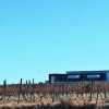 Imagen de La nueva bodega de la Patagonia que está lista para producir 645.000 litros de vino por año