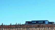 Imagen de La nueva bodega de la Patagonia que está lista para producir 645.000 litros de vino por año