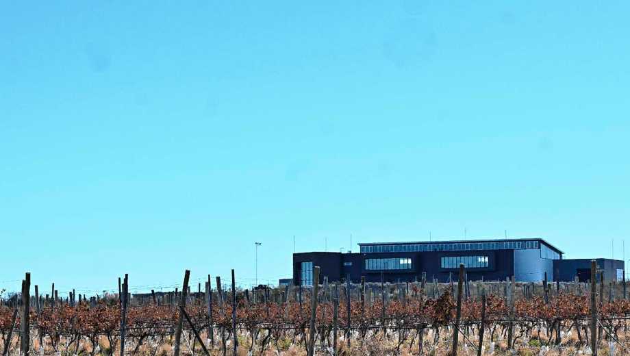 La bodega pampeana ubicada en un lugar privilegiado de la villa de Casa de Piedra. (Fotos: Juan Thomes)