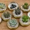 Imagen de Si tenés tapas de mermelada, no las tires: 4 ideas modernas para reutilizarlas en casa