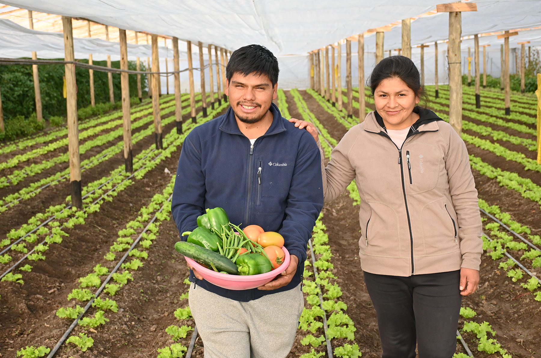 Imagen de Se enamoraron en la Patagonia y en solo tres meses levantaron 8 invernaderos para vivir de sus cultivos