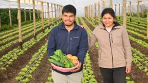 Imagen de Se enamoraron en la Patagonia y en solo tres meses levantaron 8 invernaderos para vivir de sus cultivos