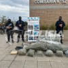 Imagen de Secuestran drogas, un arma de fuego y elementos vinculados a un robo tras un allanamiento en Centenario 