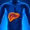 Imagen de ¿Existe la “limpieza hepática”? Cómo cuidar el hígado según la ciencia