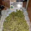 Imagen de En pleno centro de Cutral Co secuestraron cinco kilos de marihuana en dos comercios