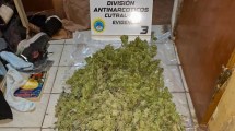 Imagen de En pleno centro de Cutral Co secuestraron cinco kilos de marihuana en dos comercios