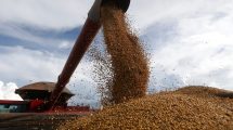 Imagen de Exportaciones de soja argentina en la mira: Europa detectó embarcaciones con transgénicos prohibidos