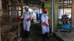 Por el brote de ébola en África activan controles sanitarios sobre barcos que llegan a Argentina