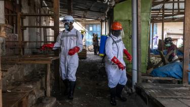Por el brote de ébola en África activan controles sanitarios sobre barcos que llegan a Argentina
