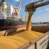 Imagen de Exportaciones de soja argentina en la mira: Europa detectó embarcaciones con transgénicos prohibidos