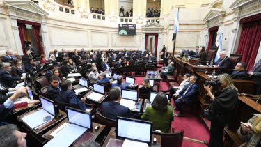 El Senado aprobó la ley de regularización y entrega voluntaria de armas: los puntos centrales de la normativa