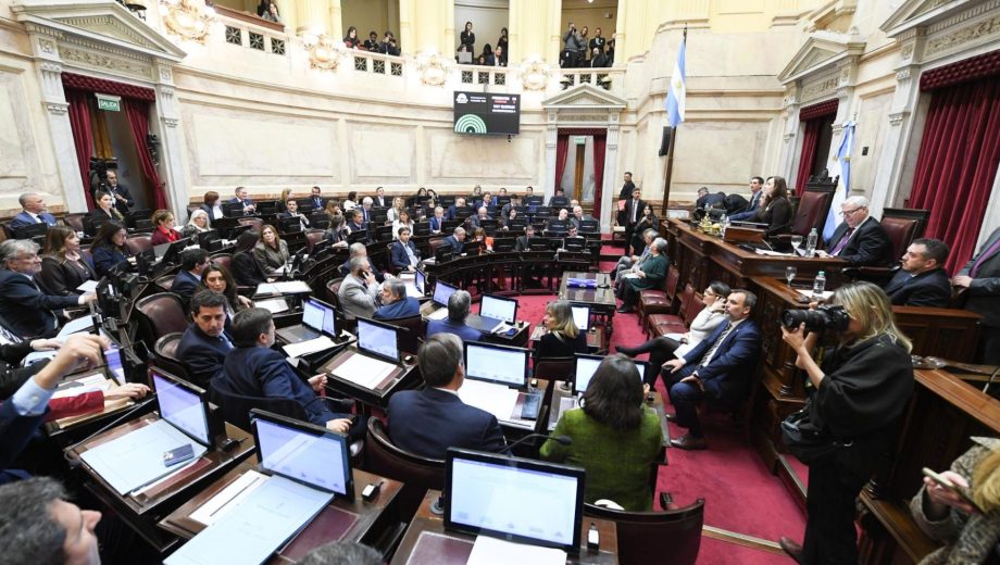 El Senado aprobó la ley de regularización y entrega voluntaria de armas