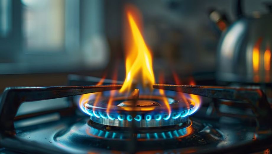 Nación prorrogó la bonificación extra sobre el consumo de gas y sumó descuentos en electricidad