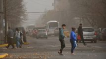 Imagen de Viento y ráfagas de hasta 100 km/h, la alerta que impacta en Neuquén: las zonas y horas complicadas de este viernes