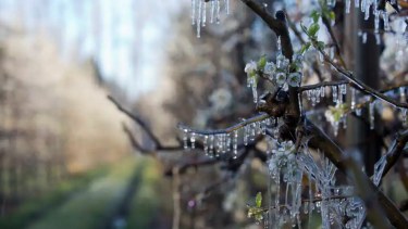 Declararon emergencia agropecuaria en Chubut, Santa Cruz y Mendoza: qué ayudas anunció el Gobierno