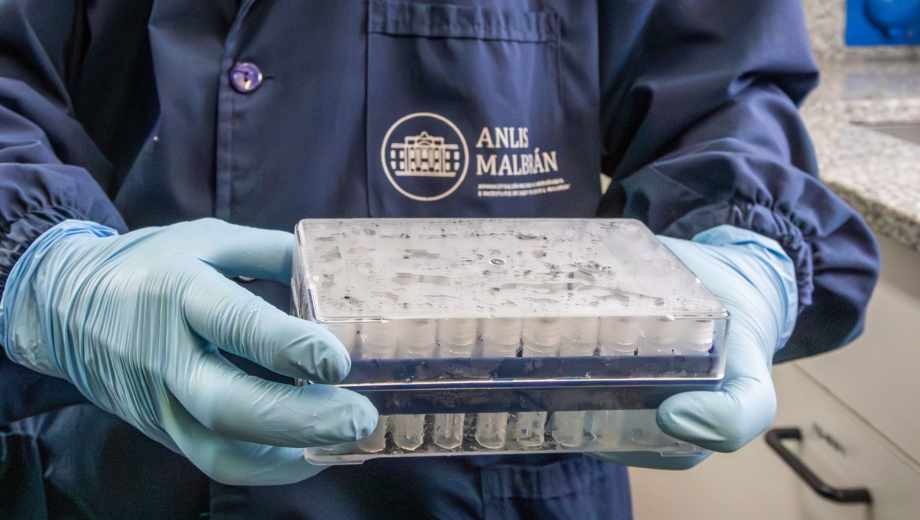 Cooperación internacional por casos de hantavirus. Foto: gentileza 