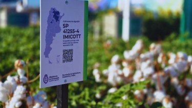 Activaron un plan de retiro voluntario para los trabajadores del INTA: cómo será según la resolución