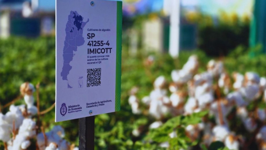 Hay un nuevo plan de retiro voluntario en un organismo del Estado. Foto: Gentileza INTA.