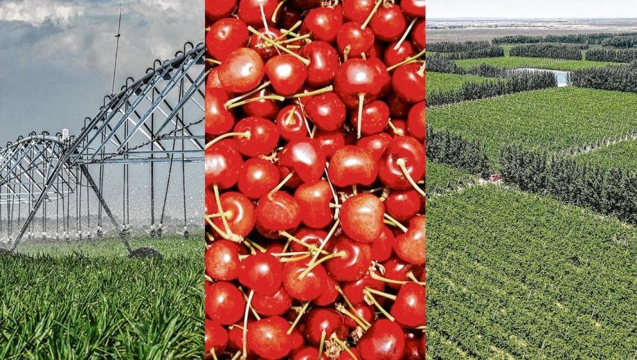 La combinación entre fruticultura, ganadería, agricultura bajo riego y producción de forrajes muestra una región que sigue buscando alternativas para crecer y sostener su desarrollo.