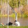 Imagen de El Niño traerá más lluvias a la Patagonia: especialista anticipa una primavera favorable para los ríos