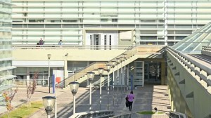 Tenían más de 7 kilos de marihuana y un arma en Neuquén: los condenaron, pero no irán a prisión