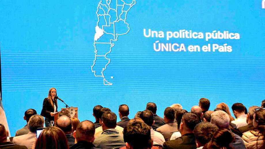 Las cinco ciudades con la mayor cantidad de preinscripciones son Neuquén capital, Plottier, Centenario, San Martin y Cutral Co. Foto: archivo Matías Subat.