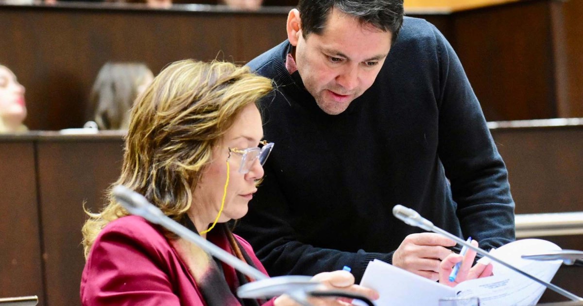 How Neuquén Members voted on the agreement between the Province and YPF to export LNG