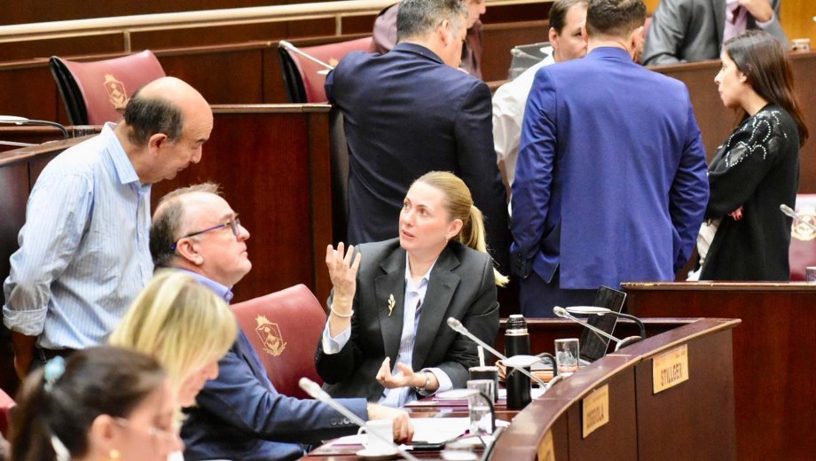 El proyecto todavía debe pasar por otras comisiones. Foto: Matías Subat. 