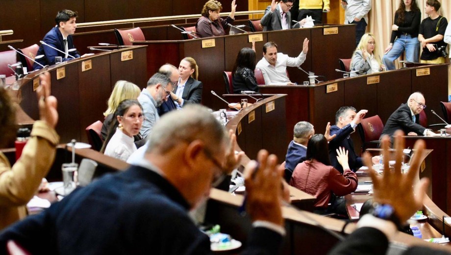 La Cámara le dio respaldo unánime al proyecto. Foto Matías Subat.