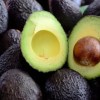 Imagen de Cómo germinar una semilla de palta en agua: el truco para que brote más rápido