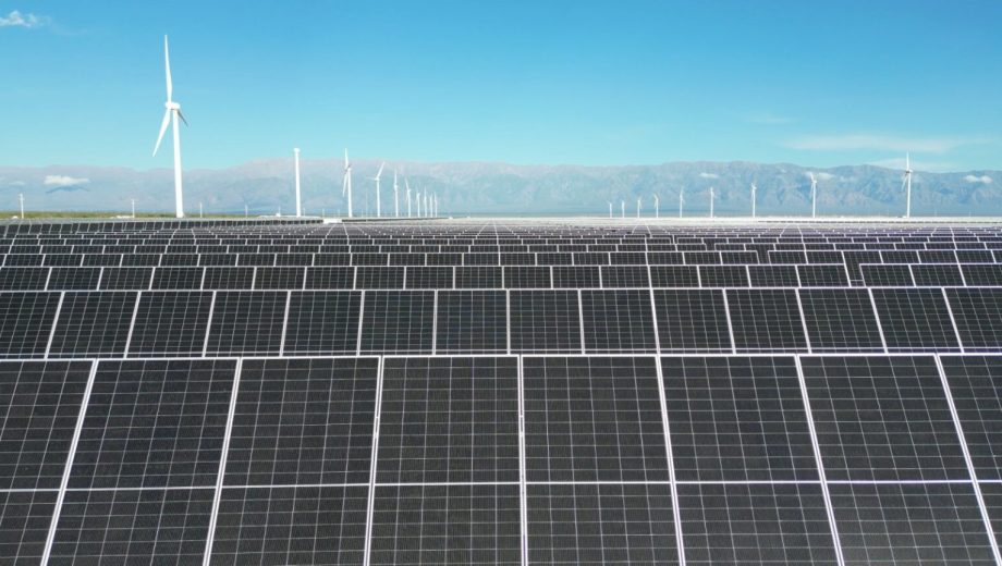 La instalación cuenta con más de 89.000 paneles solares. Foto: gentileza.