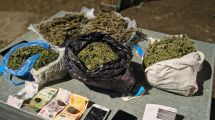 Imagen de «Valijas Verdes» en la Ruta 22: secuestraron más de 2,7 kilos de marihuana en un micro y hay dos detenidos