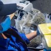 Imagen de Confirmaron la validez del operativo narco en un hotel de San Martín donde hallaron armas y drogas