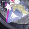 Imagen de Un control policial en Allen dejó al descubierto a dos adolescentes con droga en un taxi que llegaba desde Neuquén