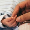Imagen de Un mensaje de texto para cambiar una realidad: Familias Solidarias de Río Negro suma atención por WhatsApp