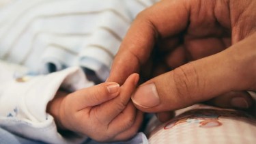 Un mensaje de texto para cambiar una realidad: Familias Solidarias de Río Negro suma atención por WhatsApp