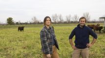 Imagen de Maíz y Angus en la Patagonia: las claves de un sistema mixto que rinde 800 kilos de carne por hectárea